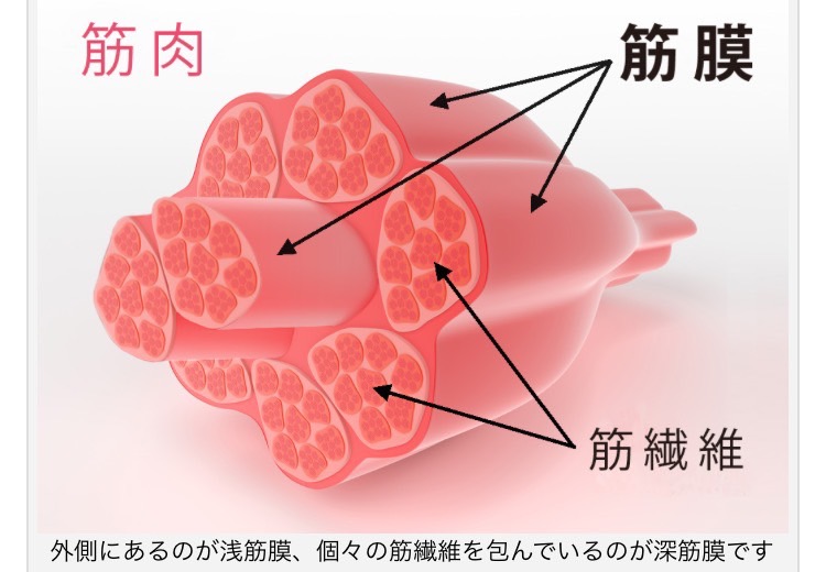 grp1022155914.jpg 750¡ß520 74K grp1022155914.jpg 750¡ß520 74K