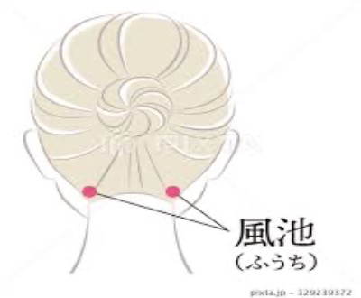 IMG_1566.jpeg 400¡ß330 30K IMG_1566.jpeg 400¡ß330 30K